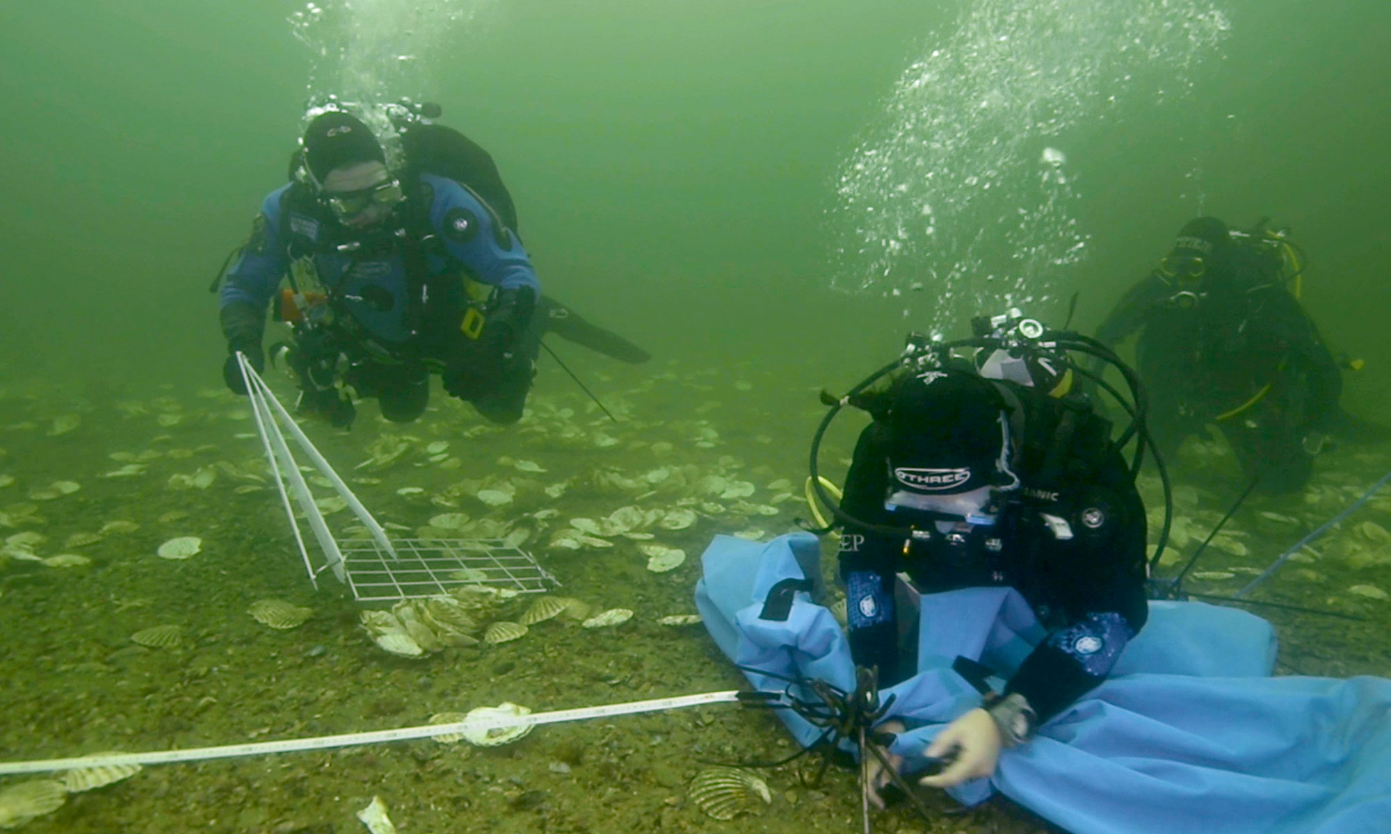 Glasgow indie filmmaking DEEP oyster conservation